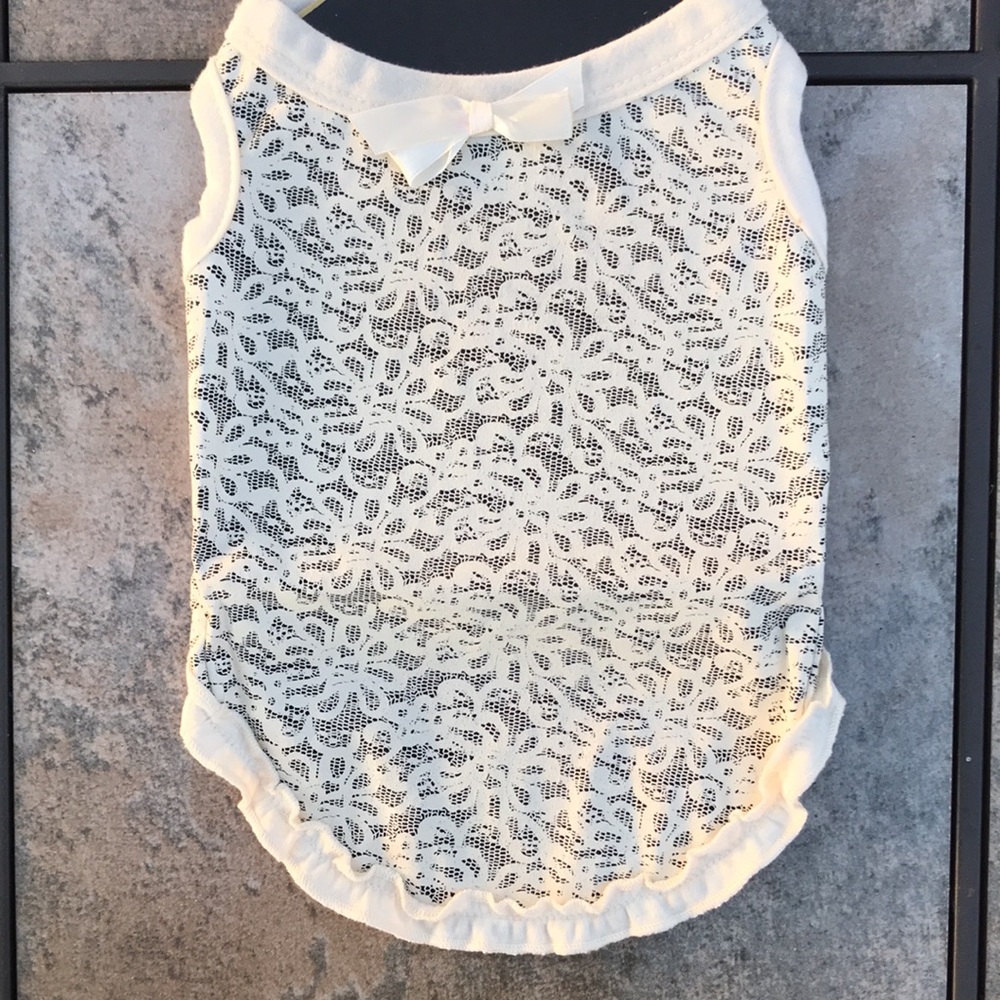 BNWT Boots & Barkley Luxe Gorgeous Lace Dress